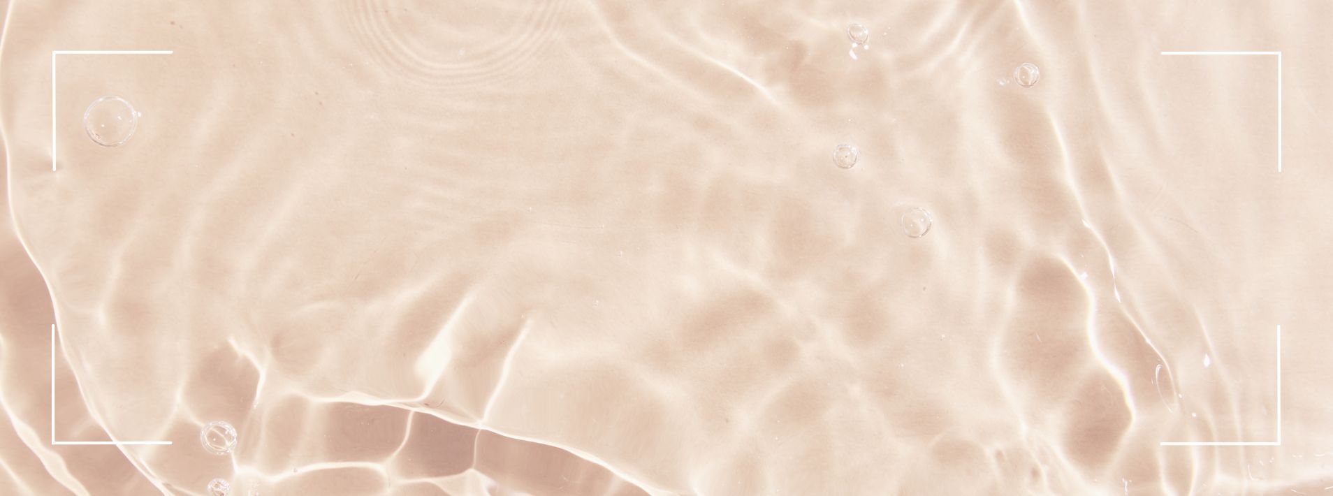 Premium Brands Banner